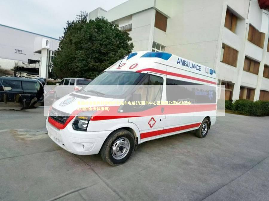 东丽市非急救转院救护车租车电话(东丽市中心医院两公里内转运中心提供全天候服务)