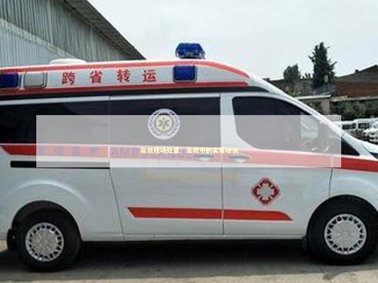 高效现场处置：急救中的实用秘诀 急救知识科普