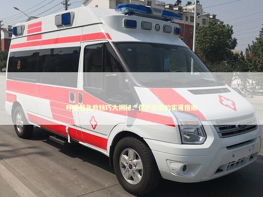 呼吸器急救技巧大揭秘：保护生命的实用指南