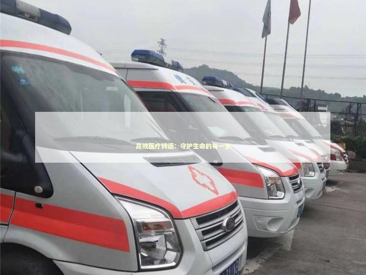 高效医疗转运：守护生命的每一步